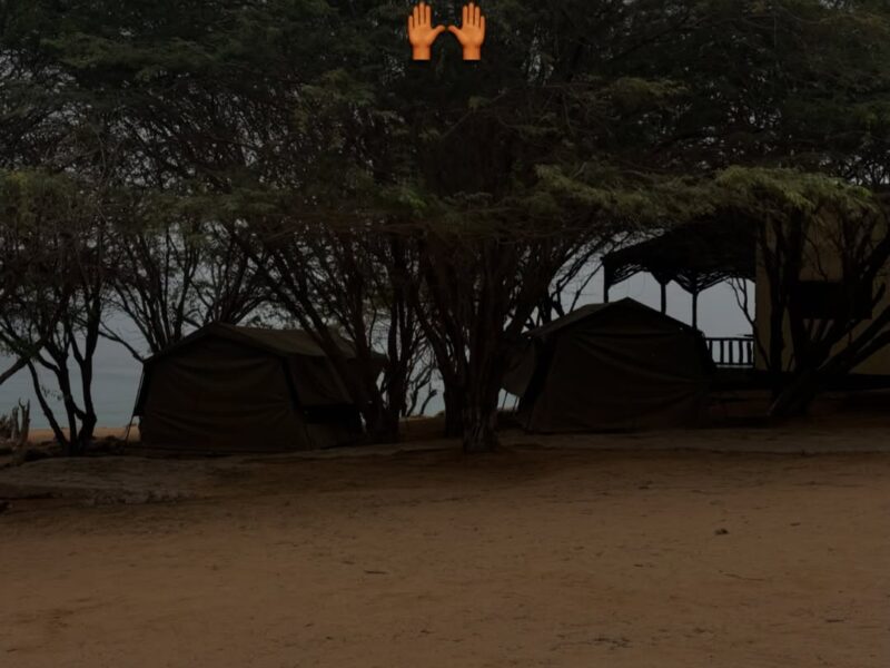 Chapéu Armado Lodge