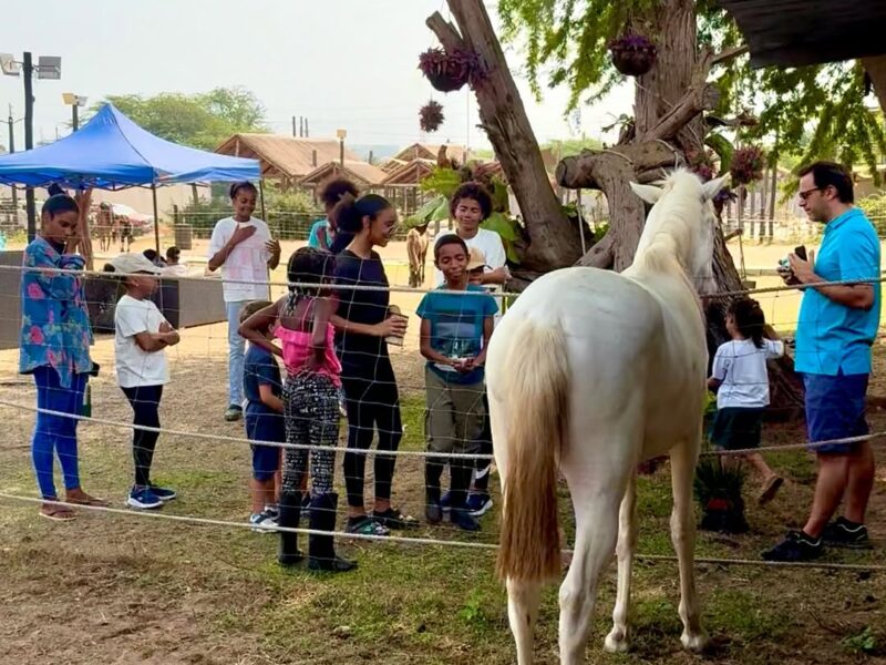 Centro Hípico Tumba Grande